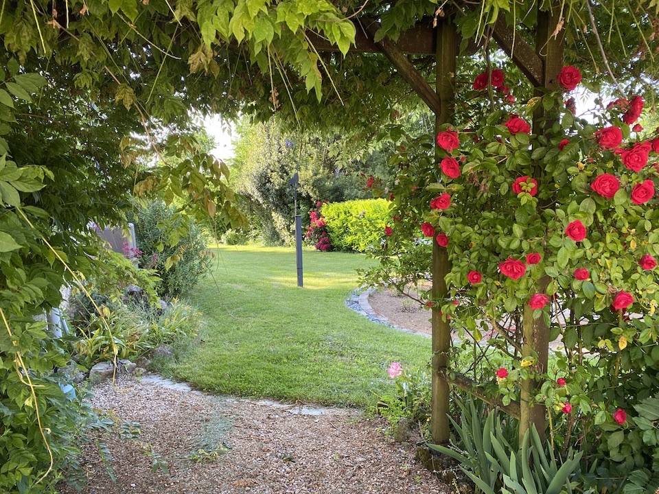 Chambre d'hôtes Référence L'Orée de la forêt, La Jonchère-Saint-Maurice - photo 4