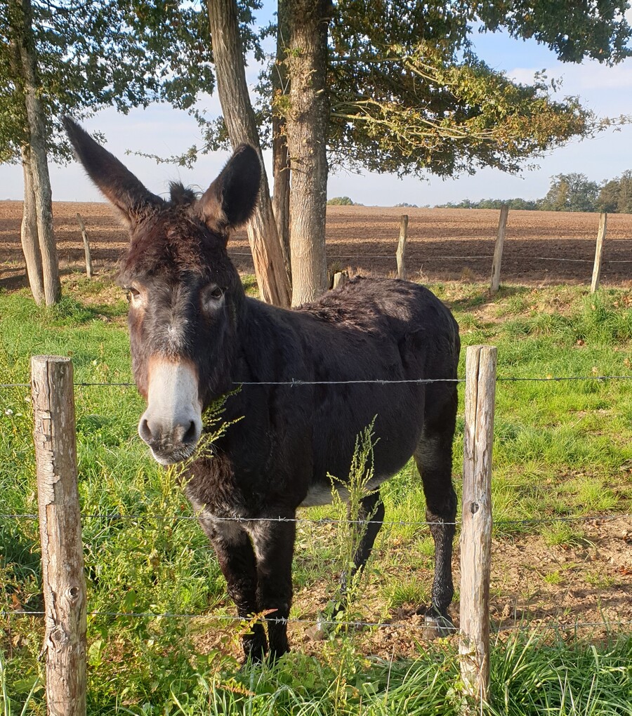 Boucle des Etangs, Chalais - photo 3