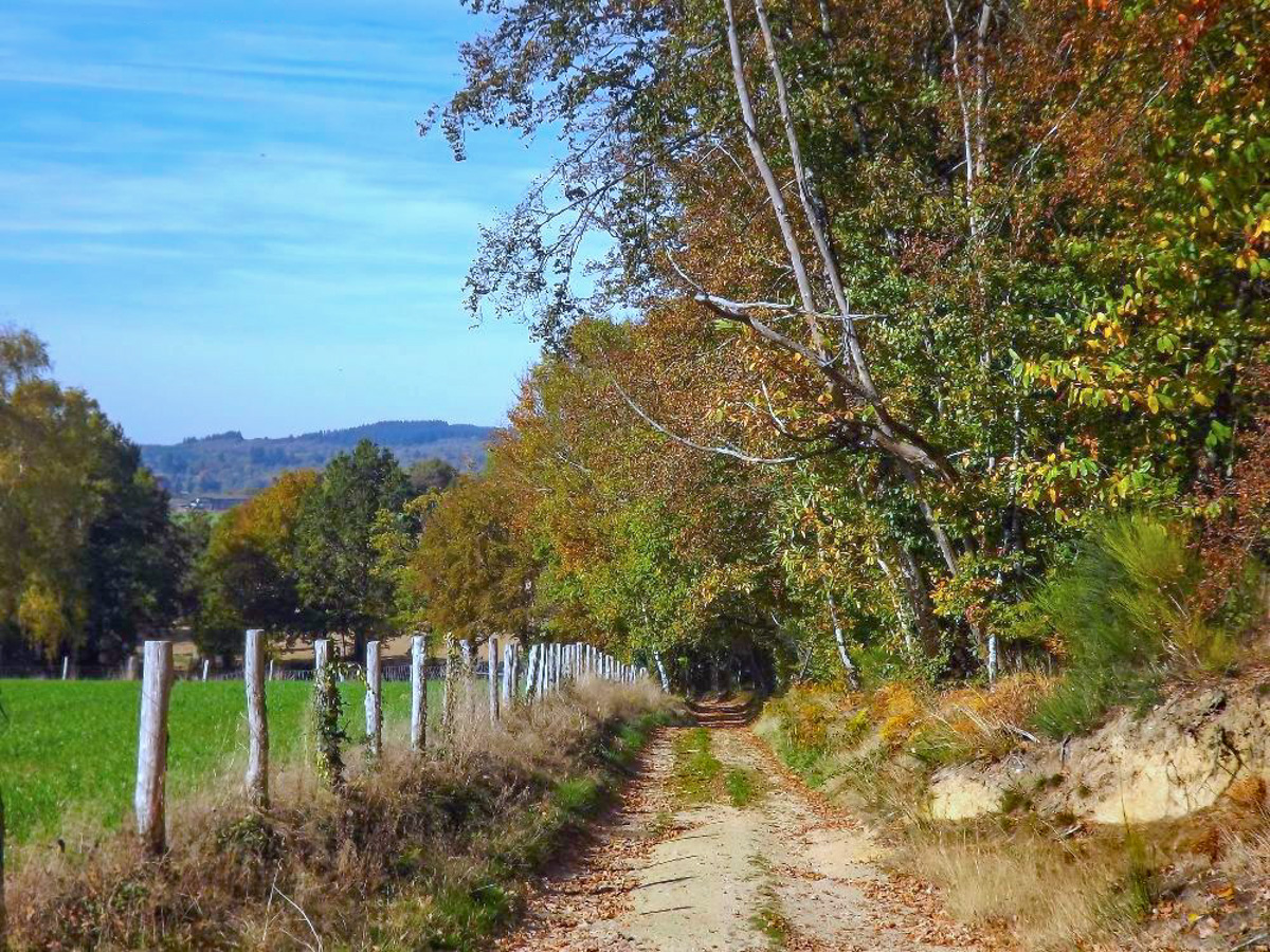 La tombe du marchand, Chamboret - photo 4