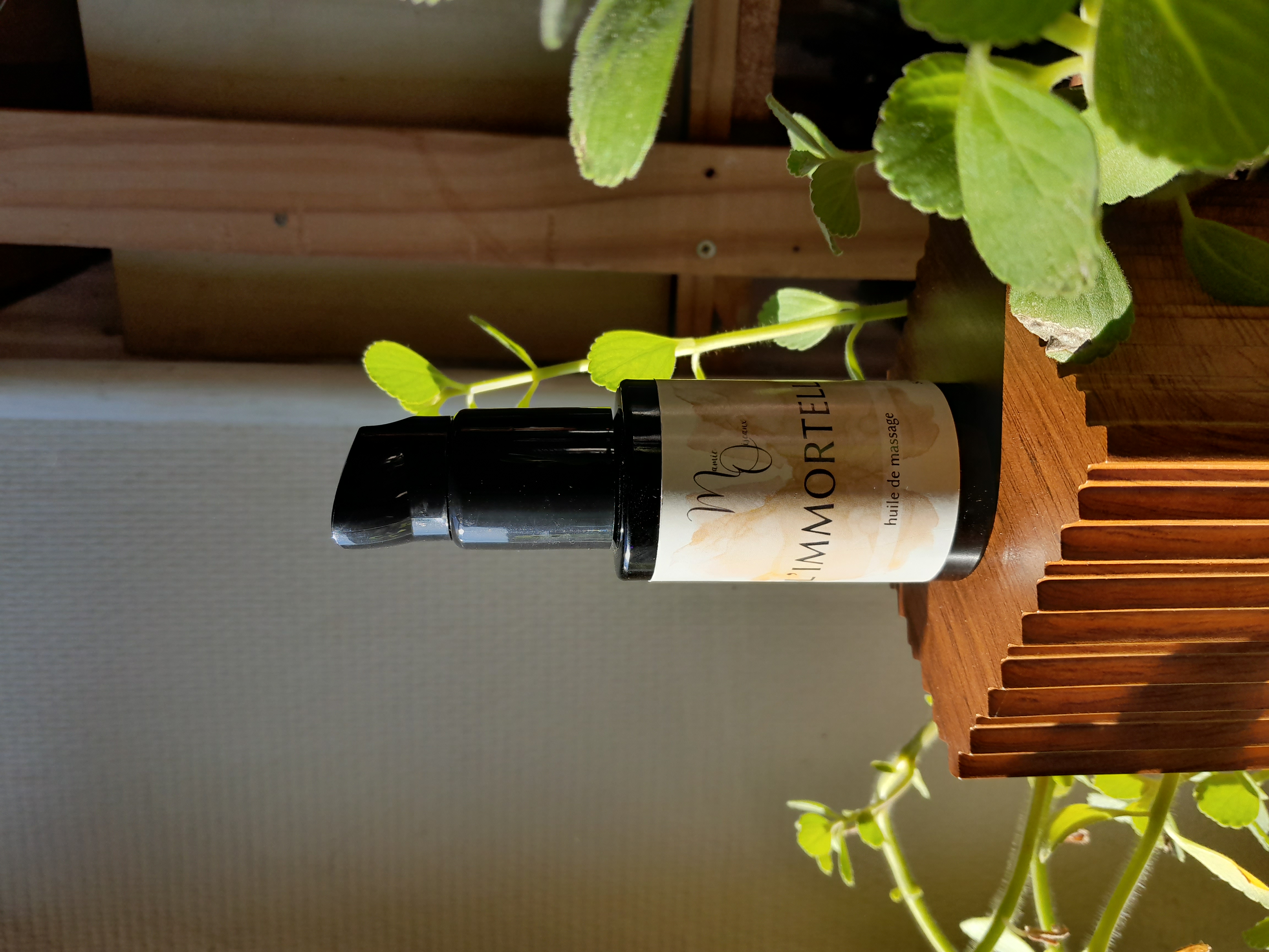 Mamie oiseaux - photo 2