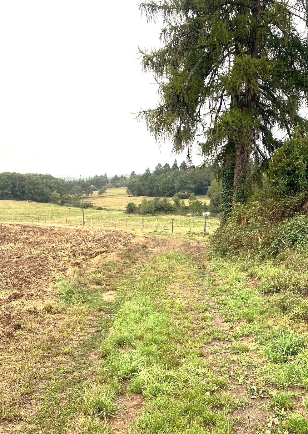 Boucle de l'Albine