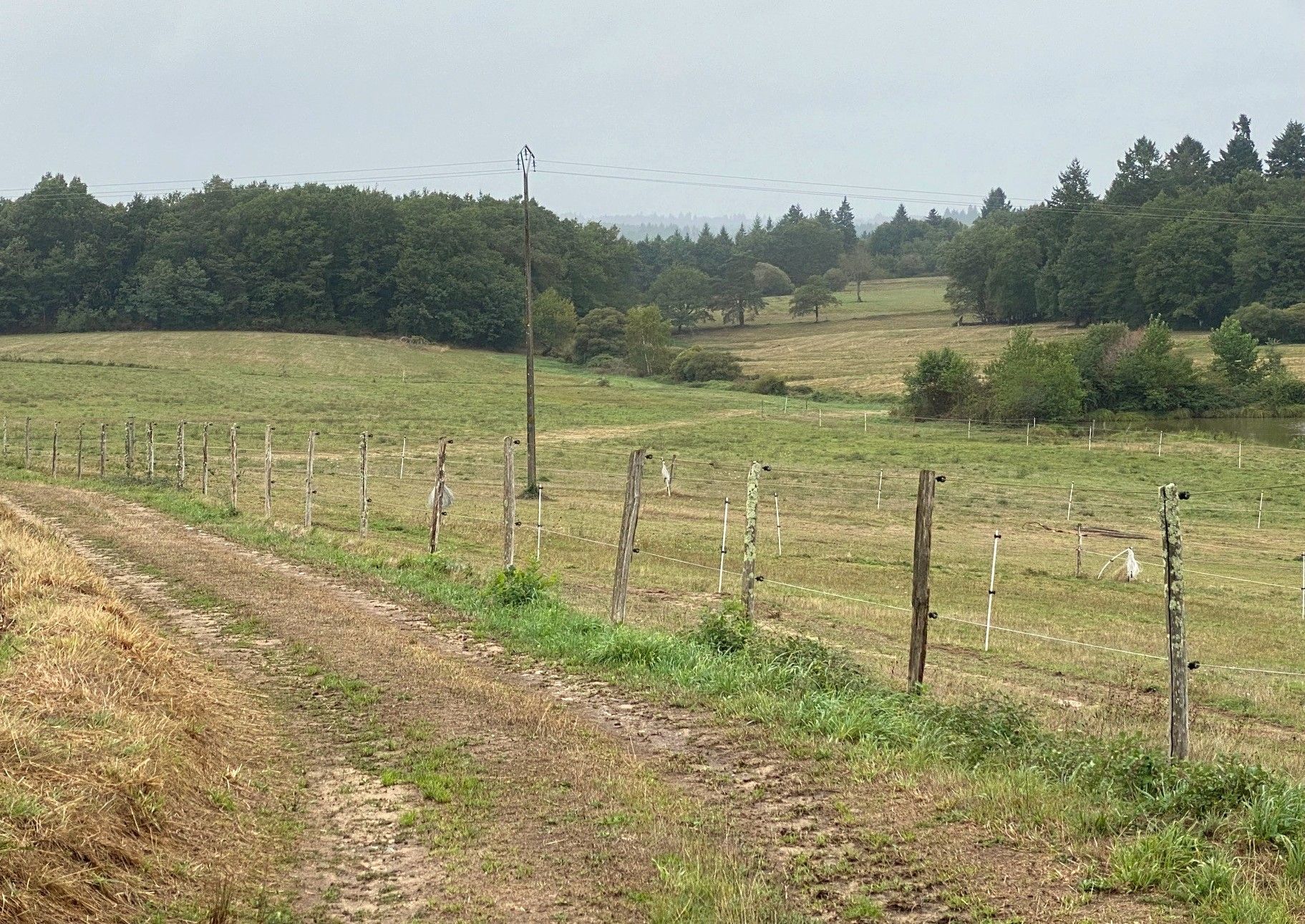 Boucle de l'Albine, Champniers-et-Reilhac - photo 2