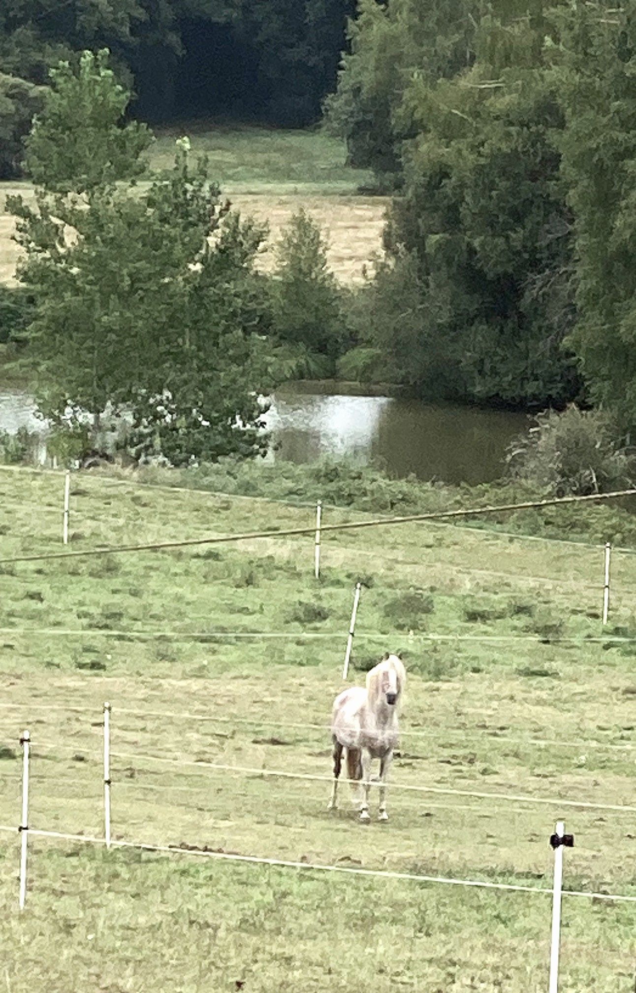 Boucle de l'Albine, Champniers-et-Reilhac - photo 3