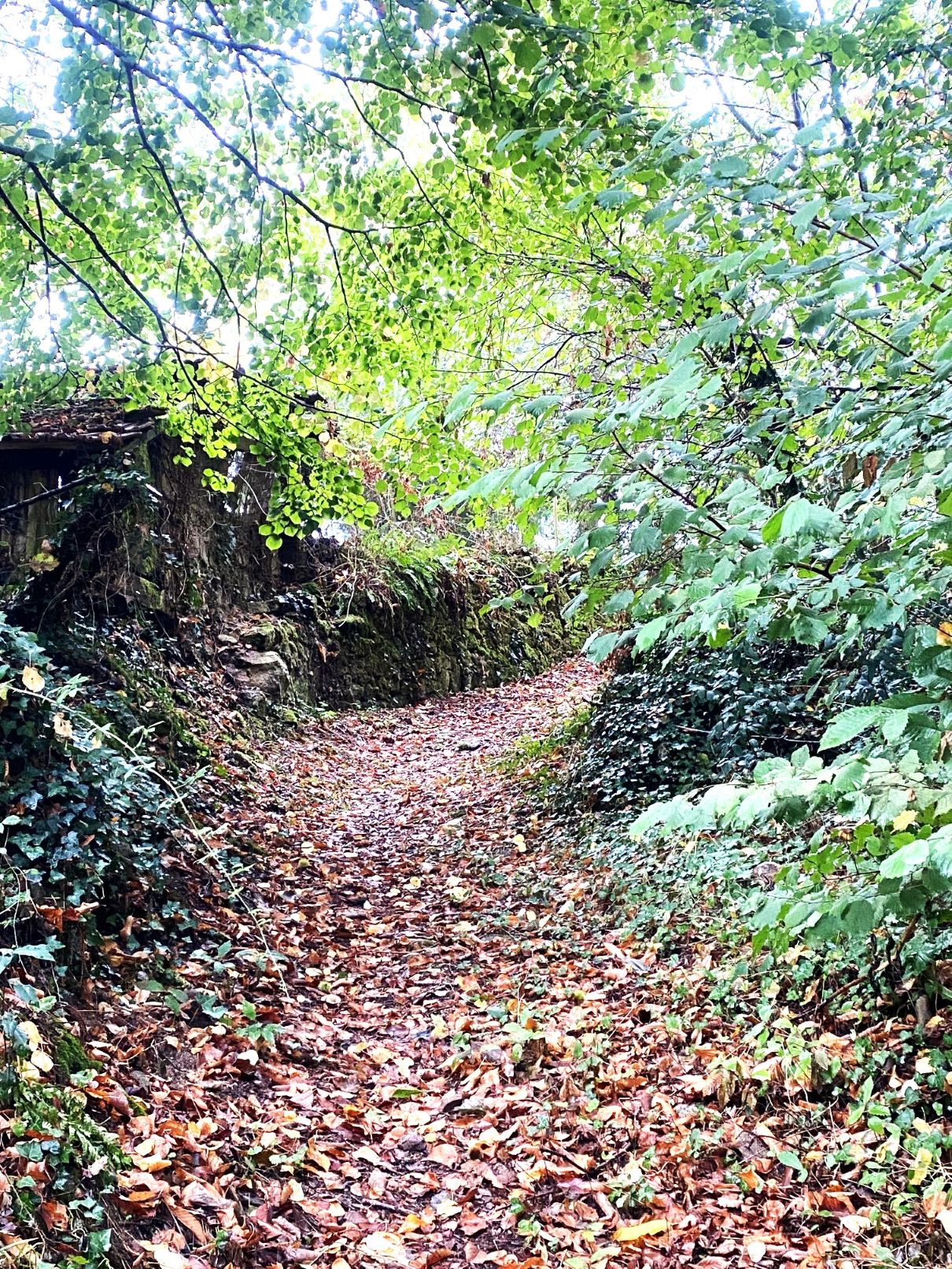 Boucle de la Voie Romaine