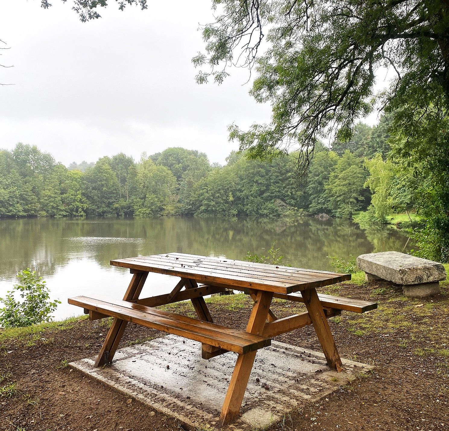 Boucle de la Voie Romaine, Champniers-et-Reilhac - photo 6