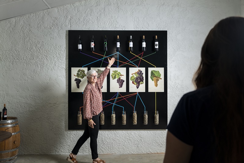 Château Bel-Air La Royère - photo 2