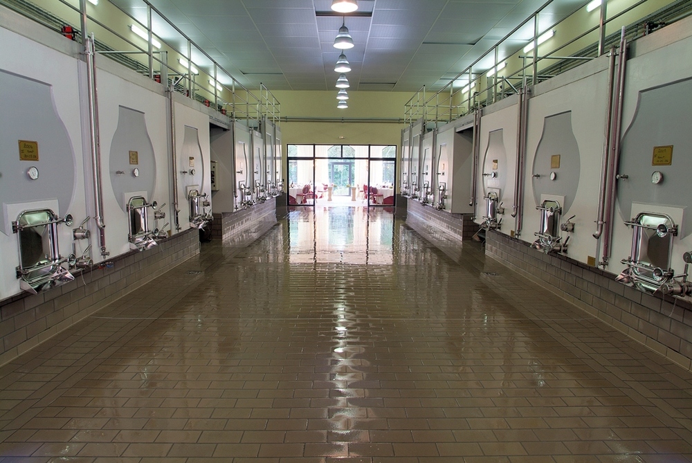 Châteaux Lalaudey et Pomeys - photo 3