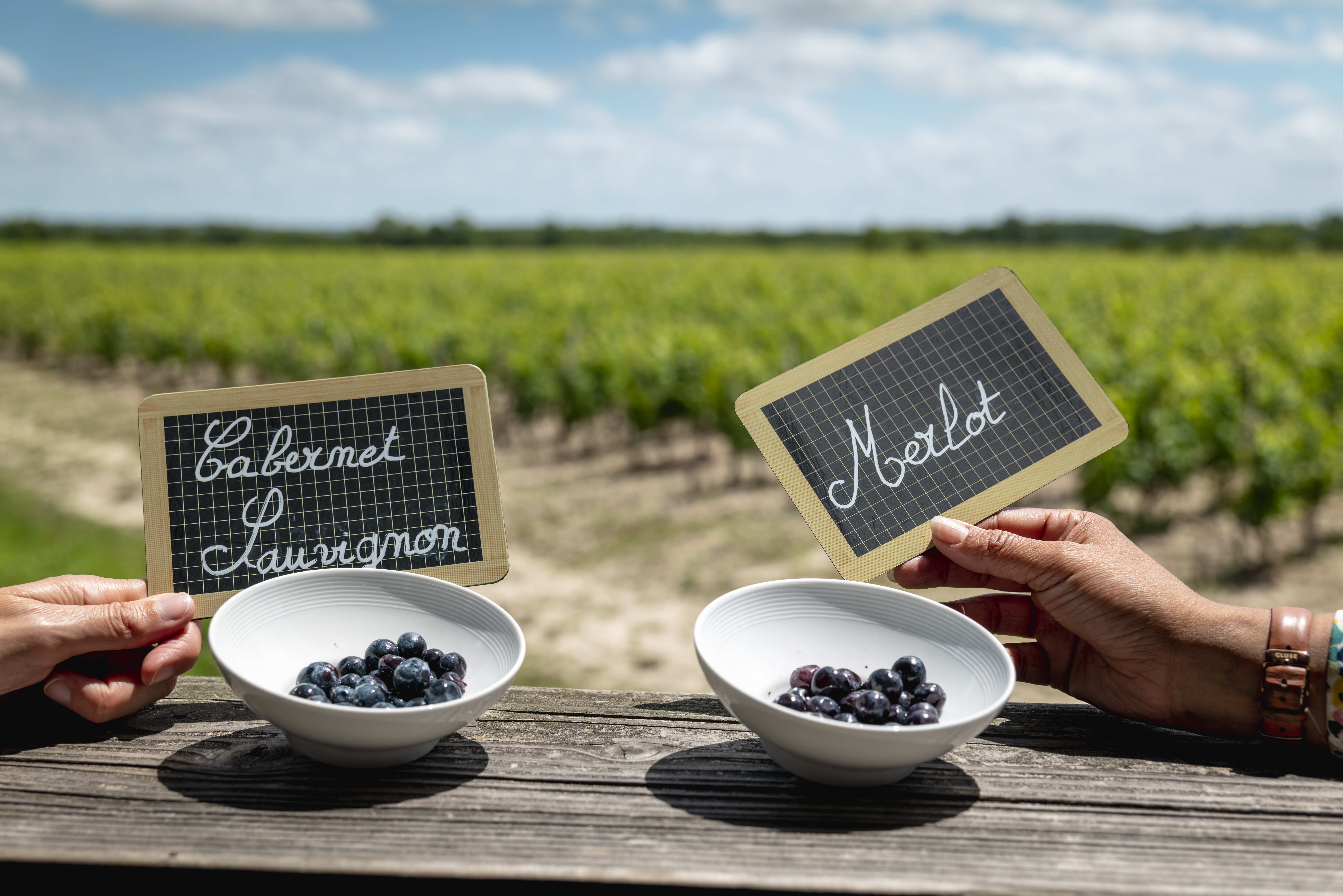 Château Lamothe Bergeron - photo 3