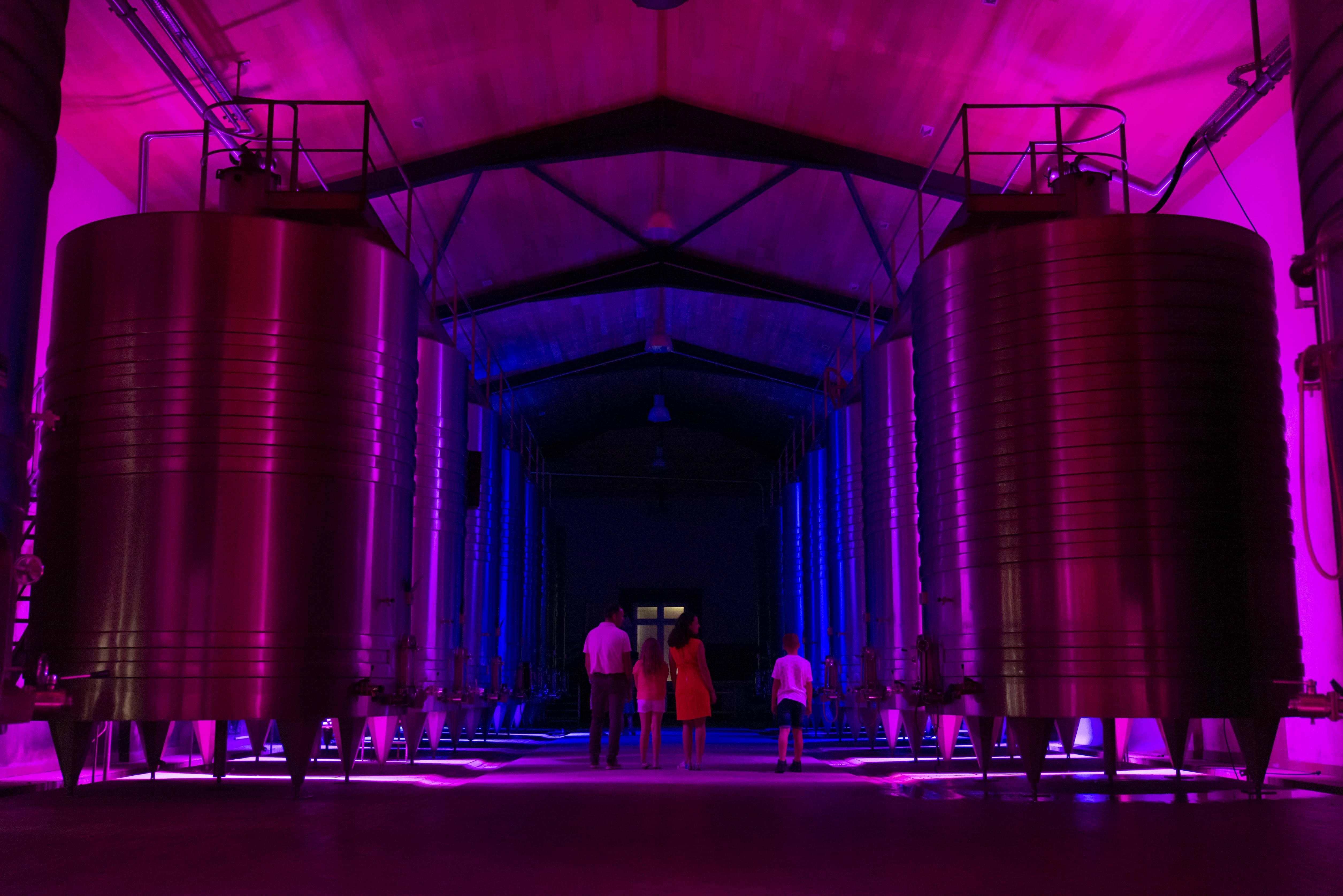 Château Lamothe Bergeron - photo 2