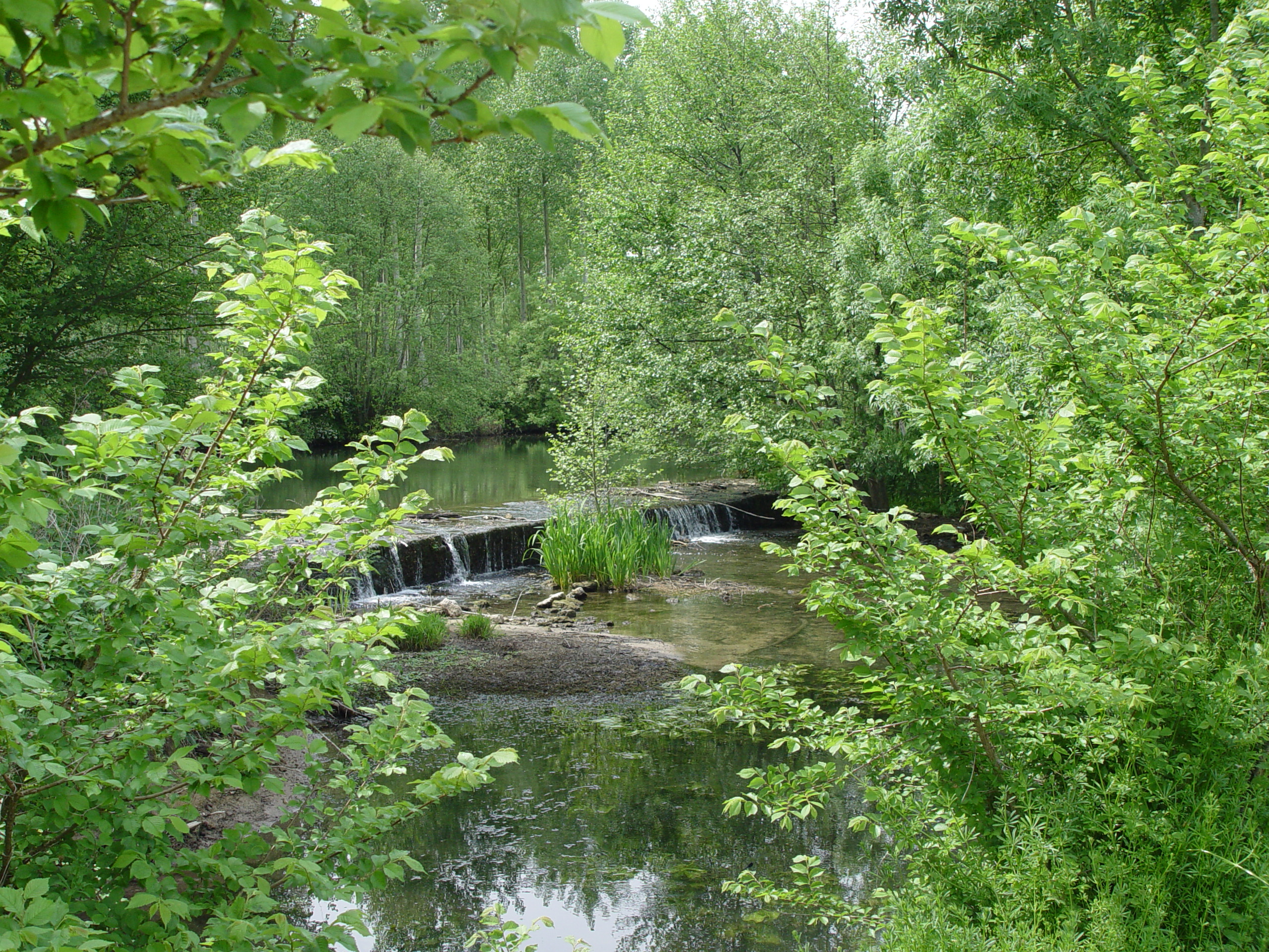 Géocaching Tèrra-Aventura : "Secrets de Sèvre bien gardés"