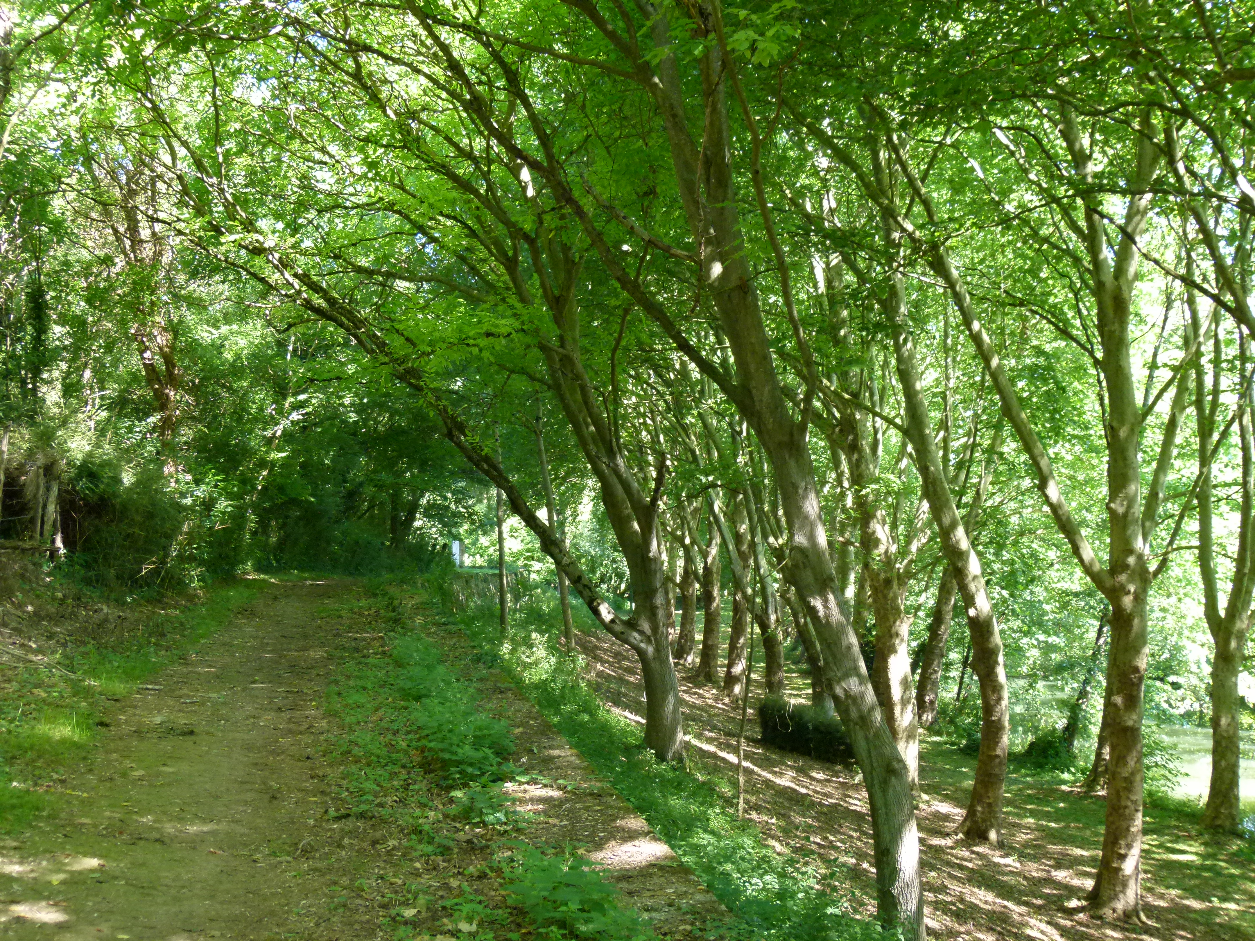 Echiré : patrimoine industriel et gastronomique