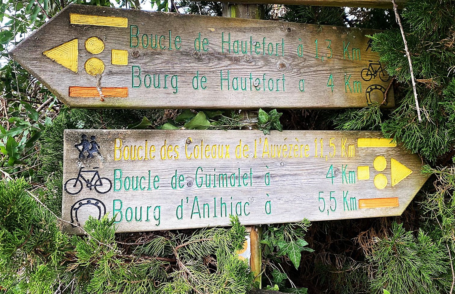 Boucle des Coteaux de L'Auvezère, Cherveix-Cubas - photo 4