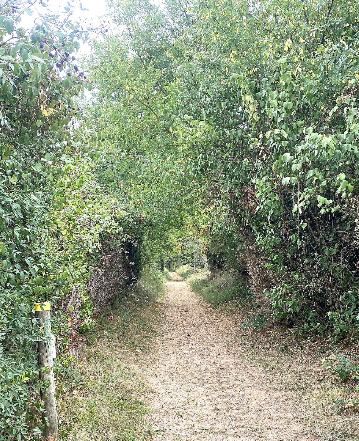 Boucle des Coteaux de L'Auvezère, Cherveix-Cubas - photo 2