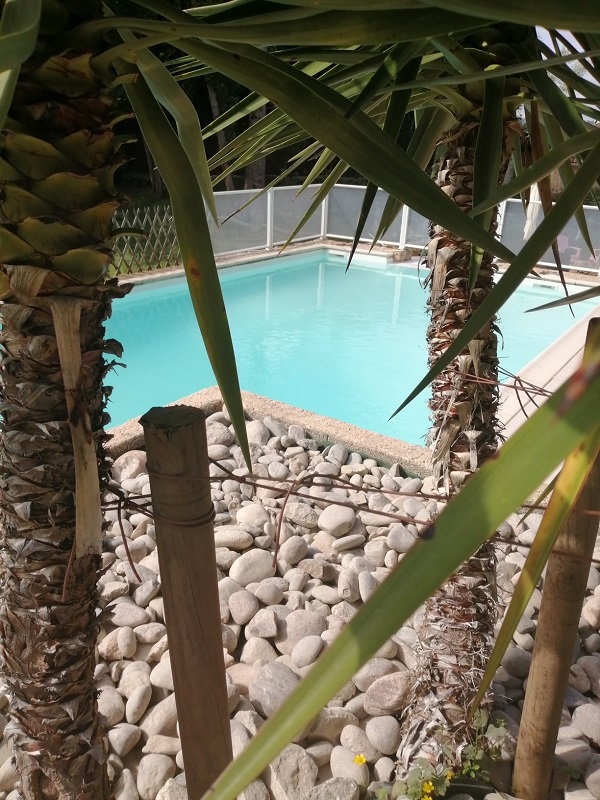 SAS Moulin du Porteil - photo 4