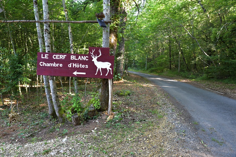 Au Cerf Blanc - photo 2