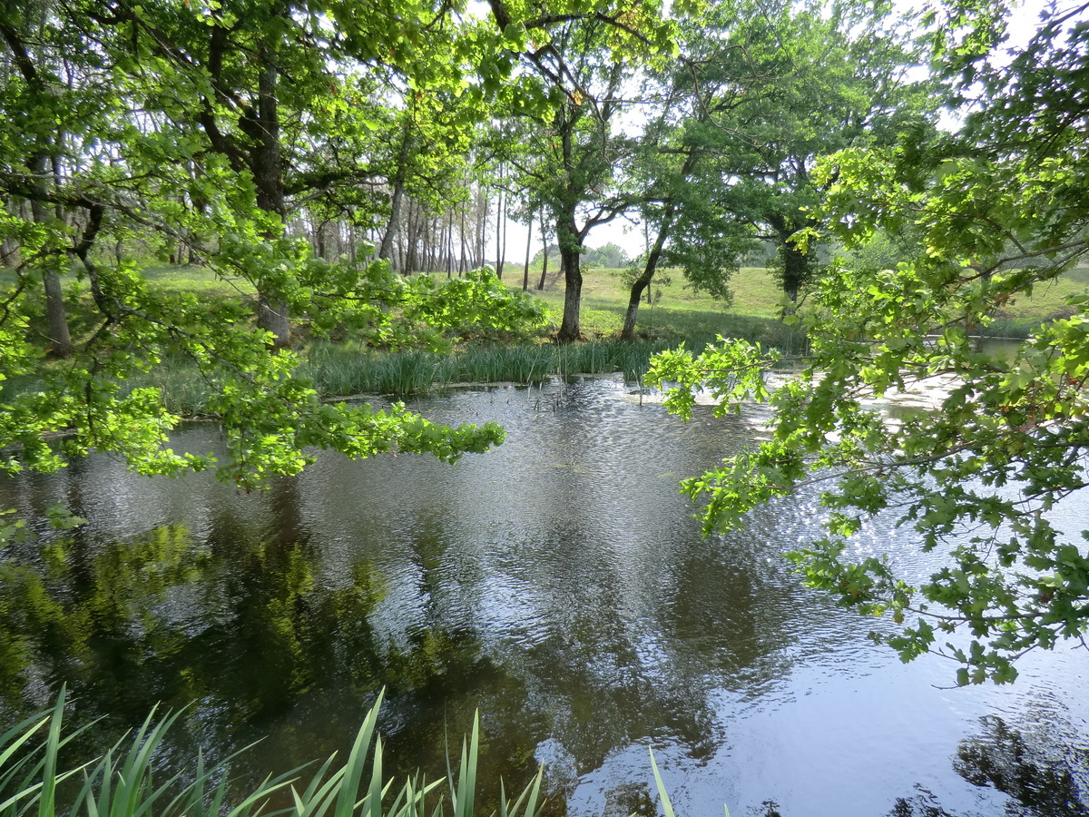 Boucle de Charlemagne à Saint-Michel l'Ecluse et Léparon - photo 2