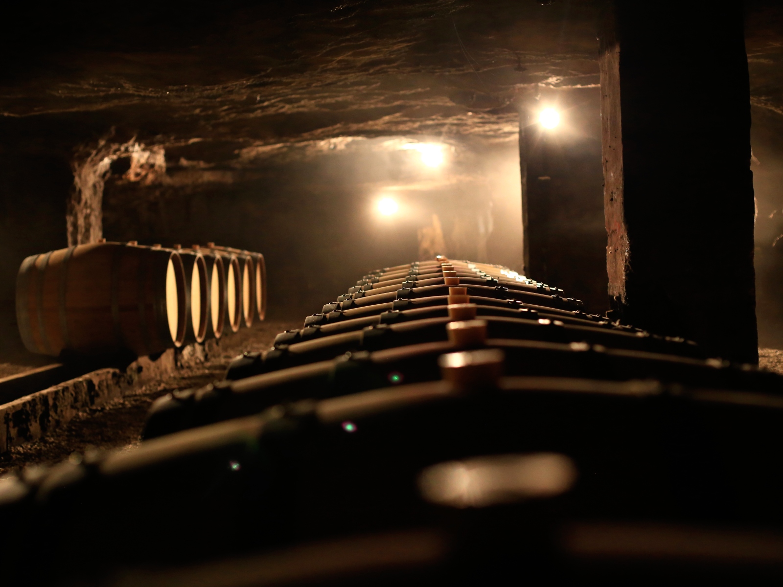 Château Lamothe - photo 5