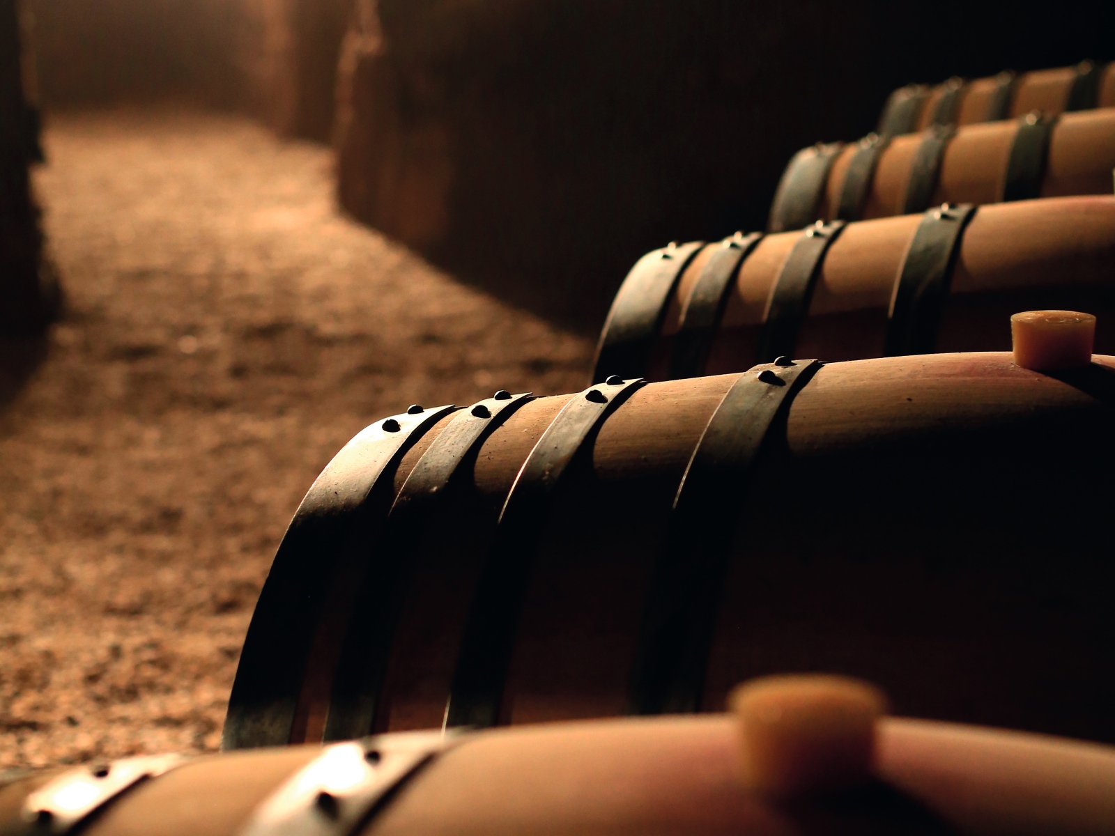 Château Lamothe - photo 3