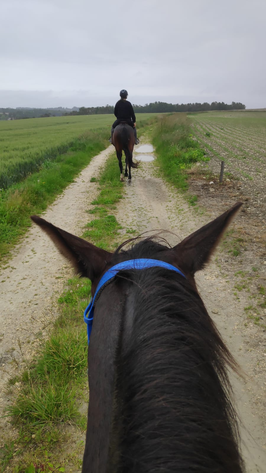 Balade du Centre « Les Petites Fontaines » aux alentours de Celles