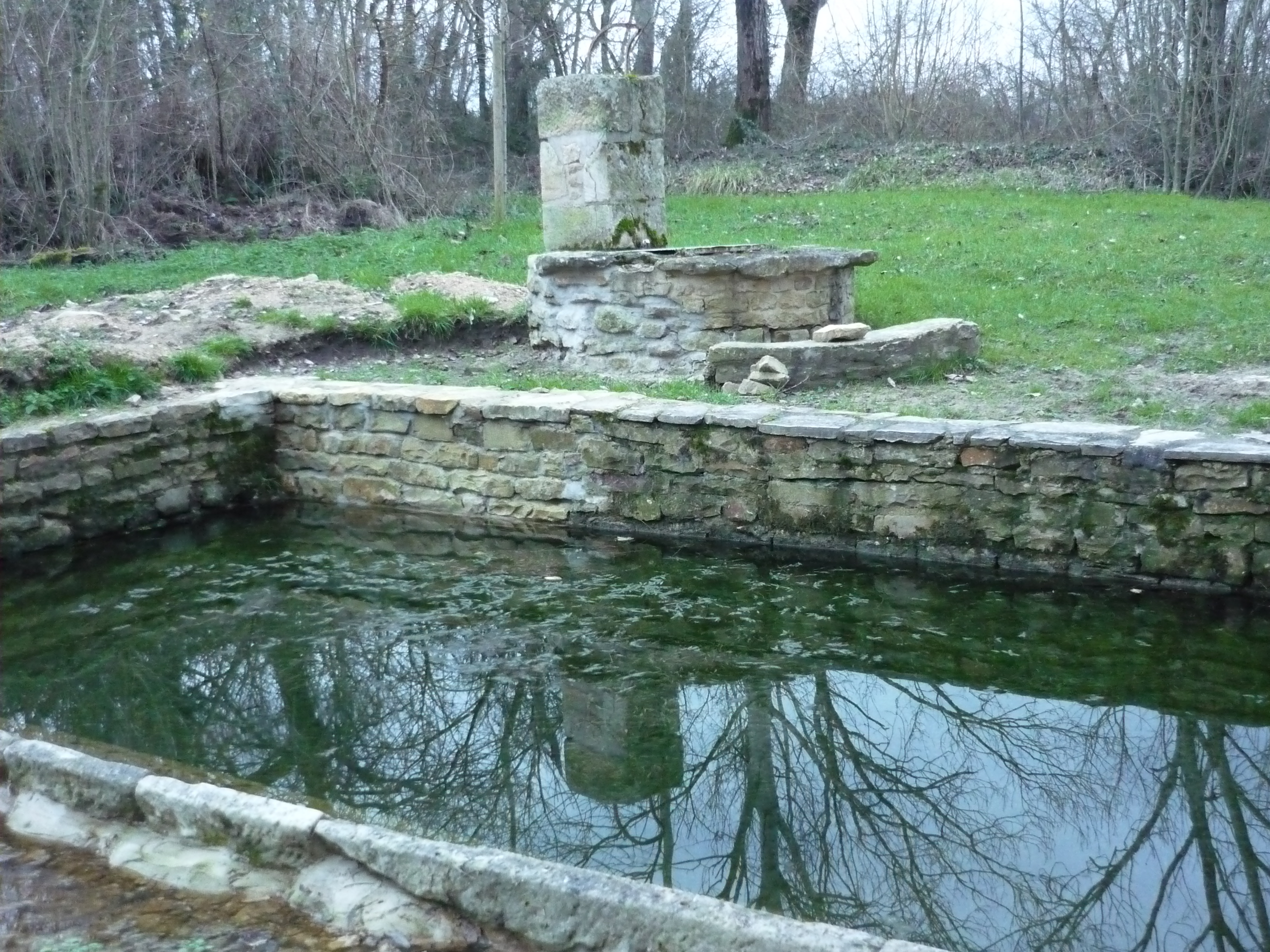 Saint-Martin-de-Bernegoue, Saint-Martin-de-Bernegoue - photo 2