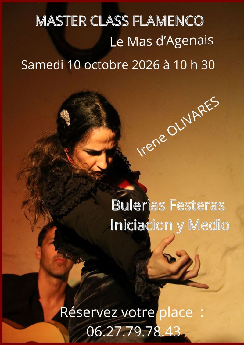 Masterclass  Flamenco au Salon La Cuadra