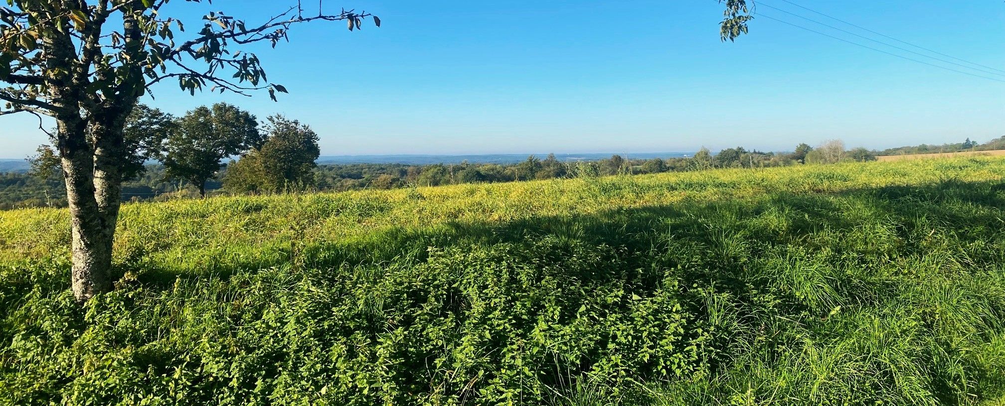 Boucle du Noyer, Clermont-d'Excideuil - photo 3