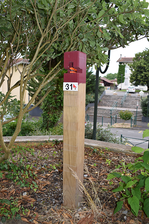 Parcours Permanent d'Orientation — photo 2