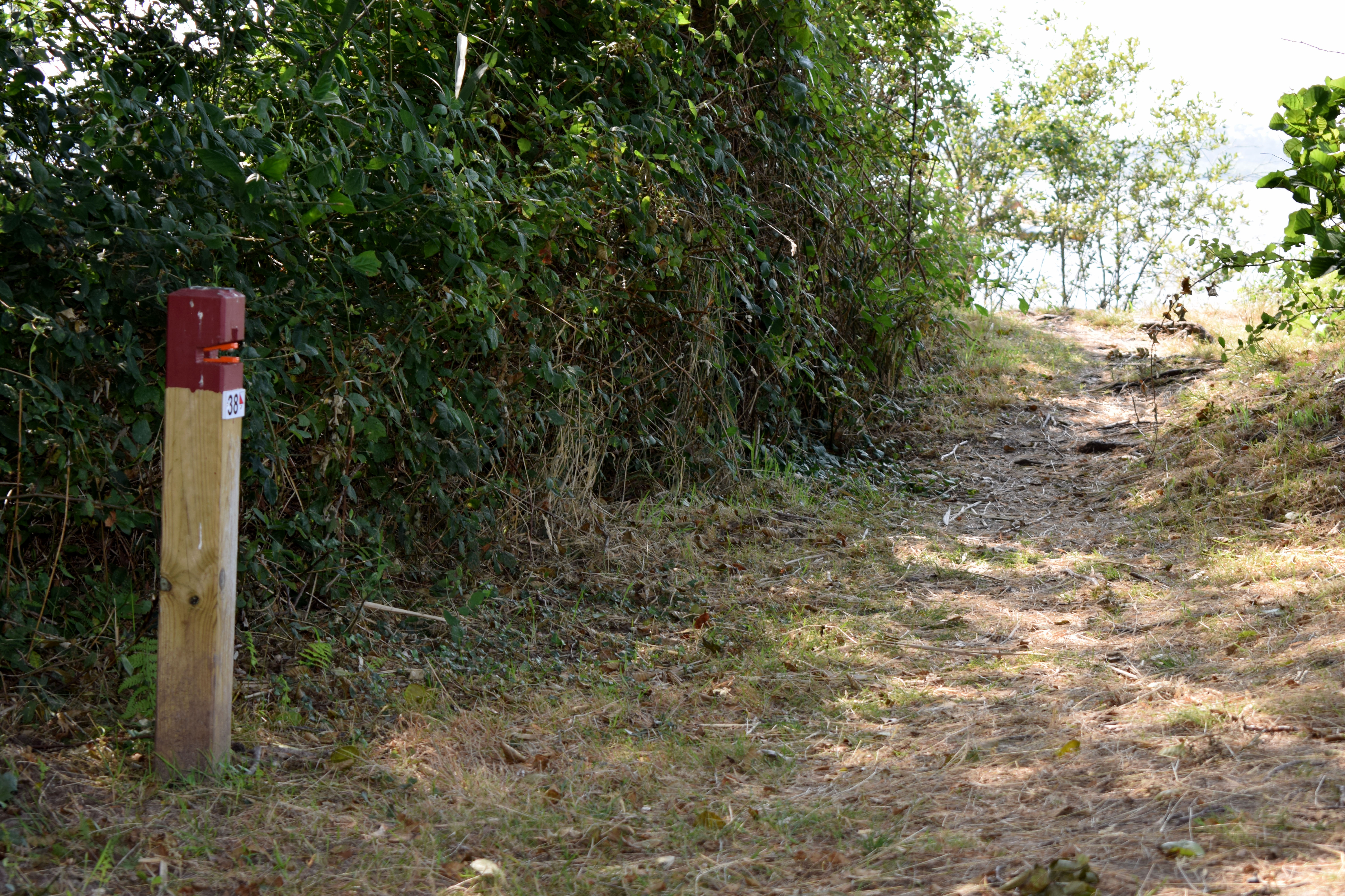 Parcours permanent d'orientation