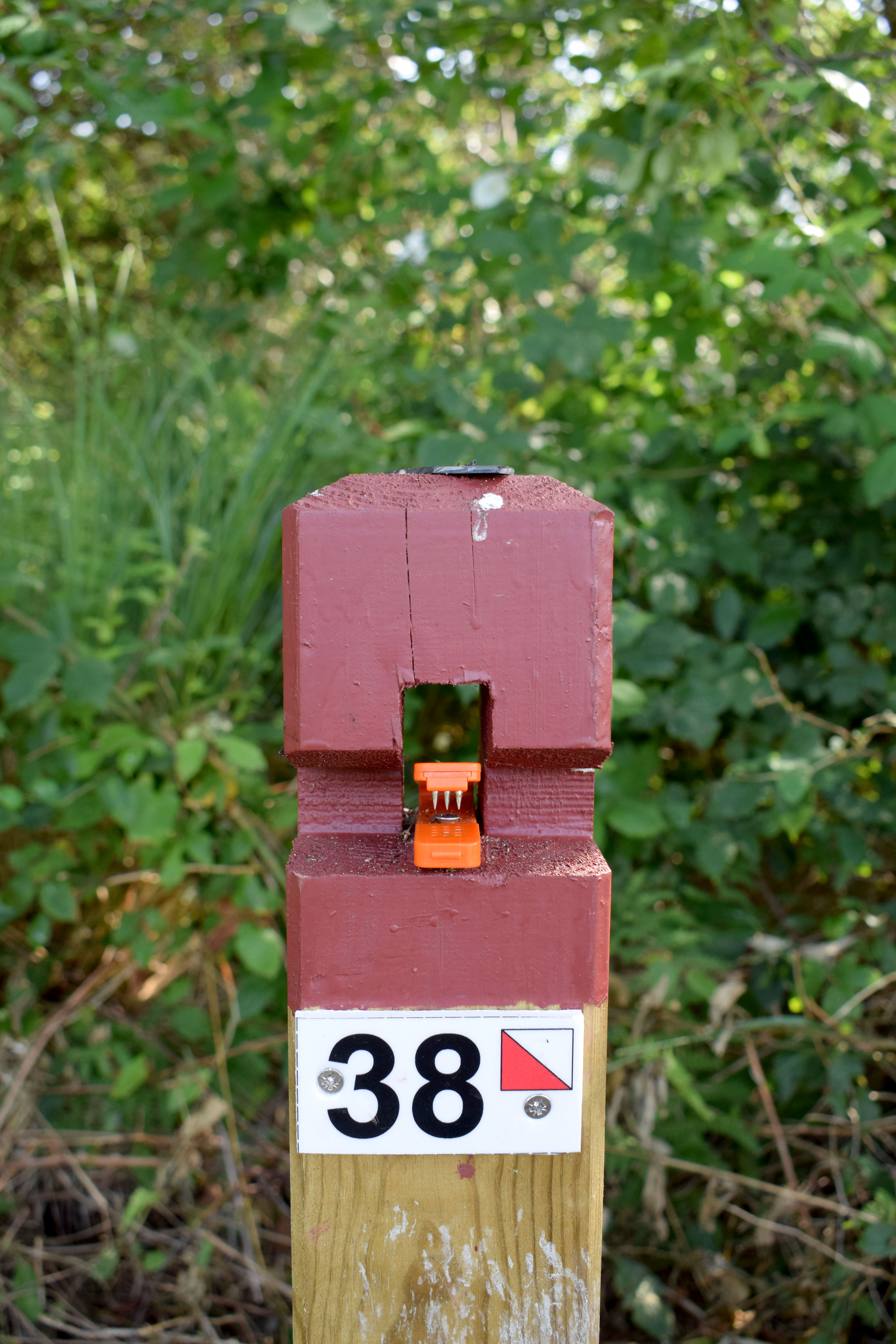 Parcours permanent d'orientation - photo 5