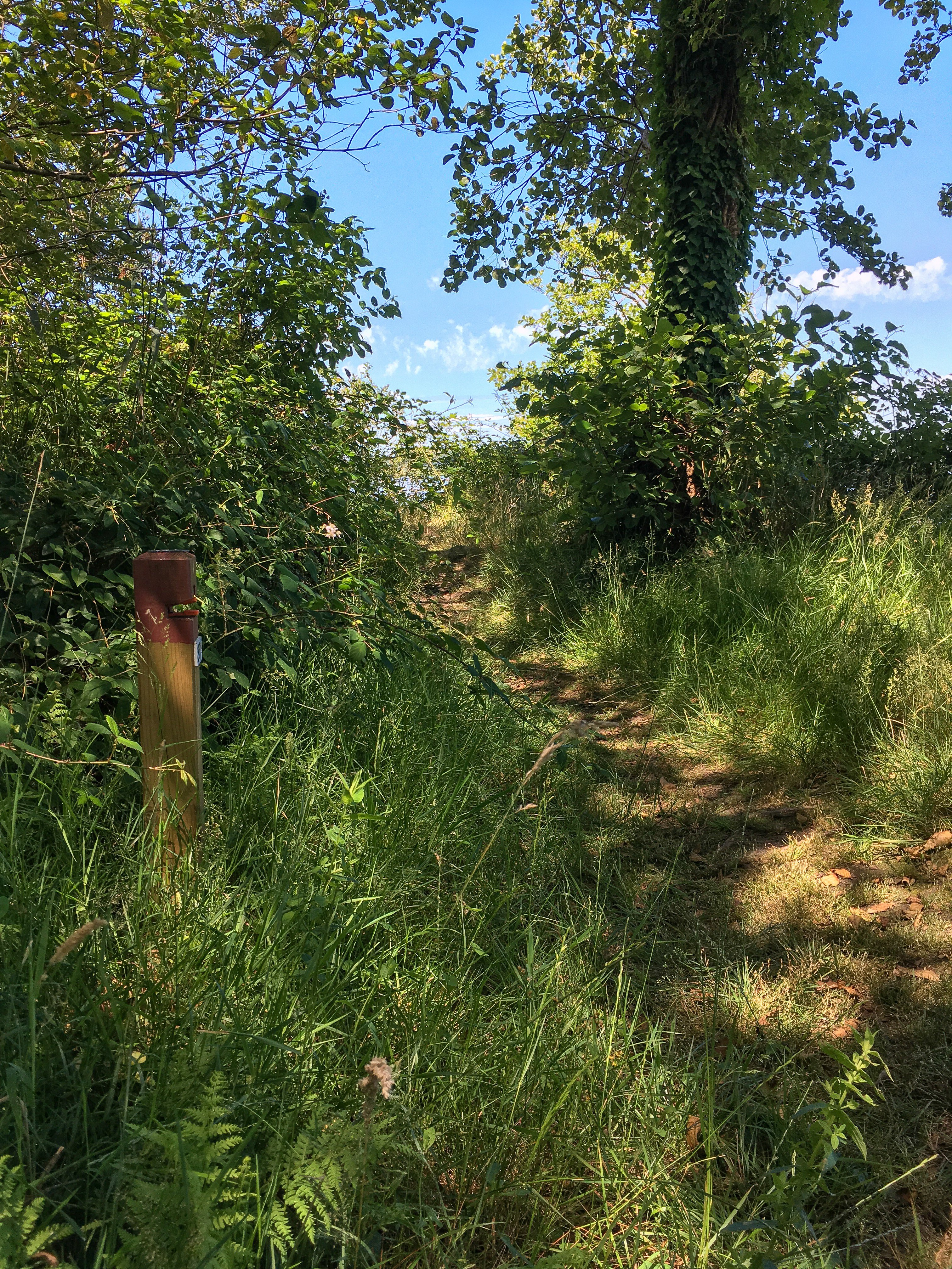 Parcours permanent d'orientation