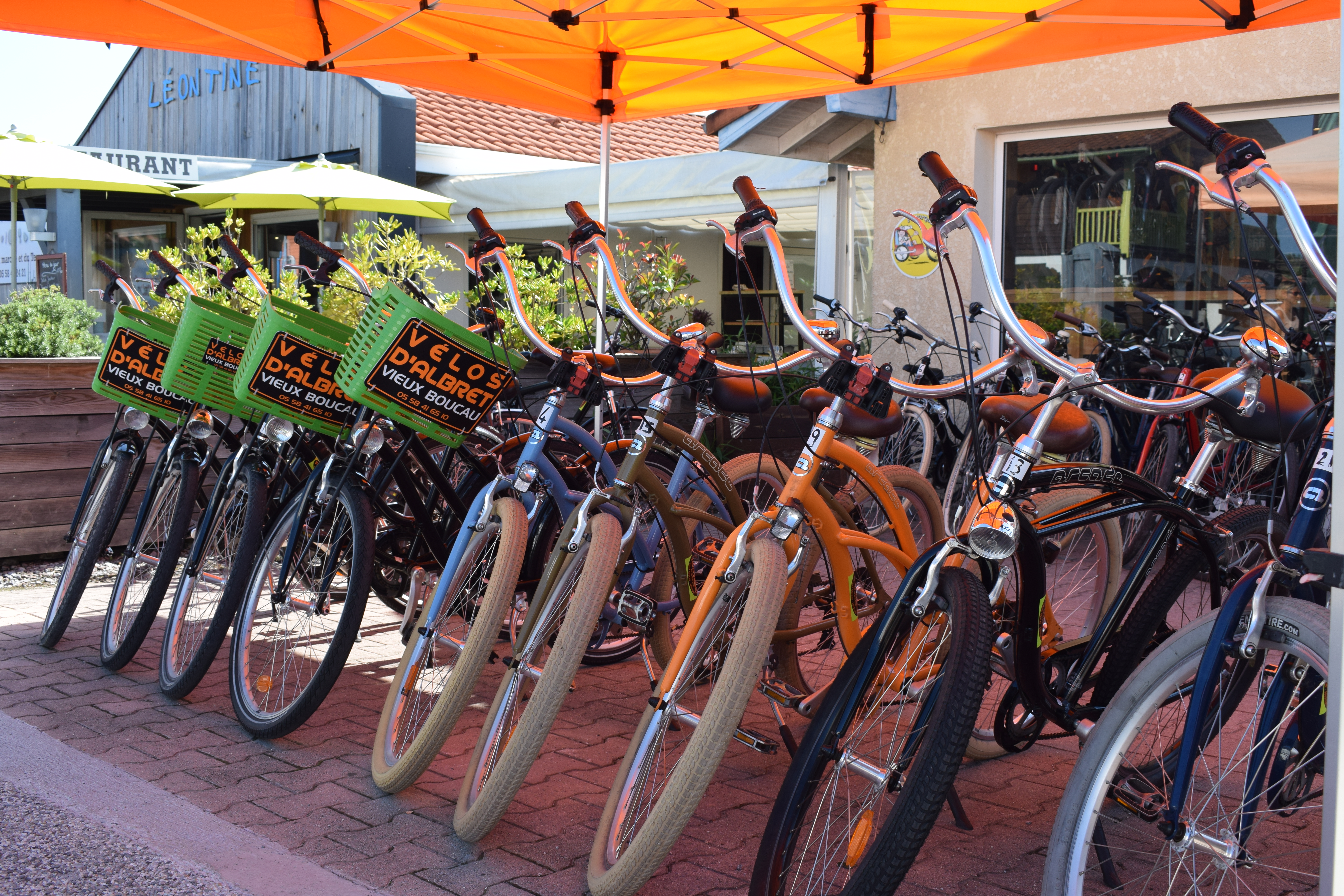 Vélos d'Albret