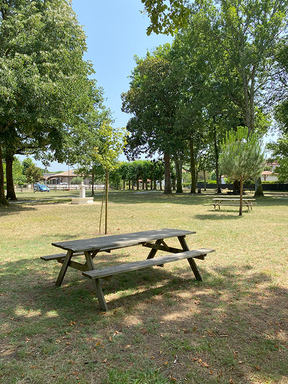 Aire de pique-nique