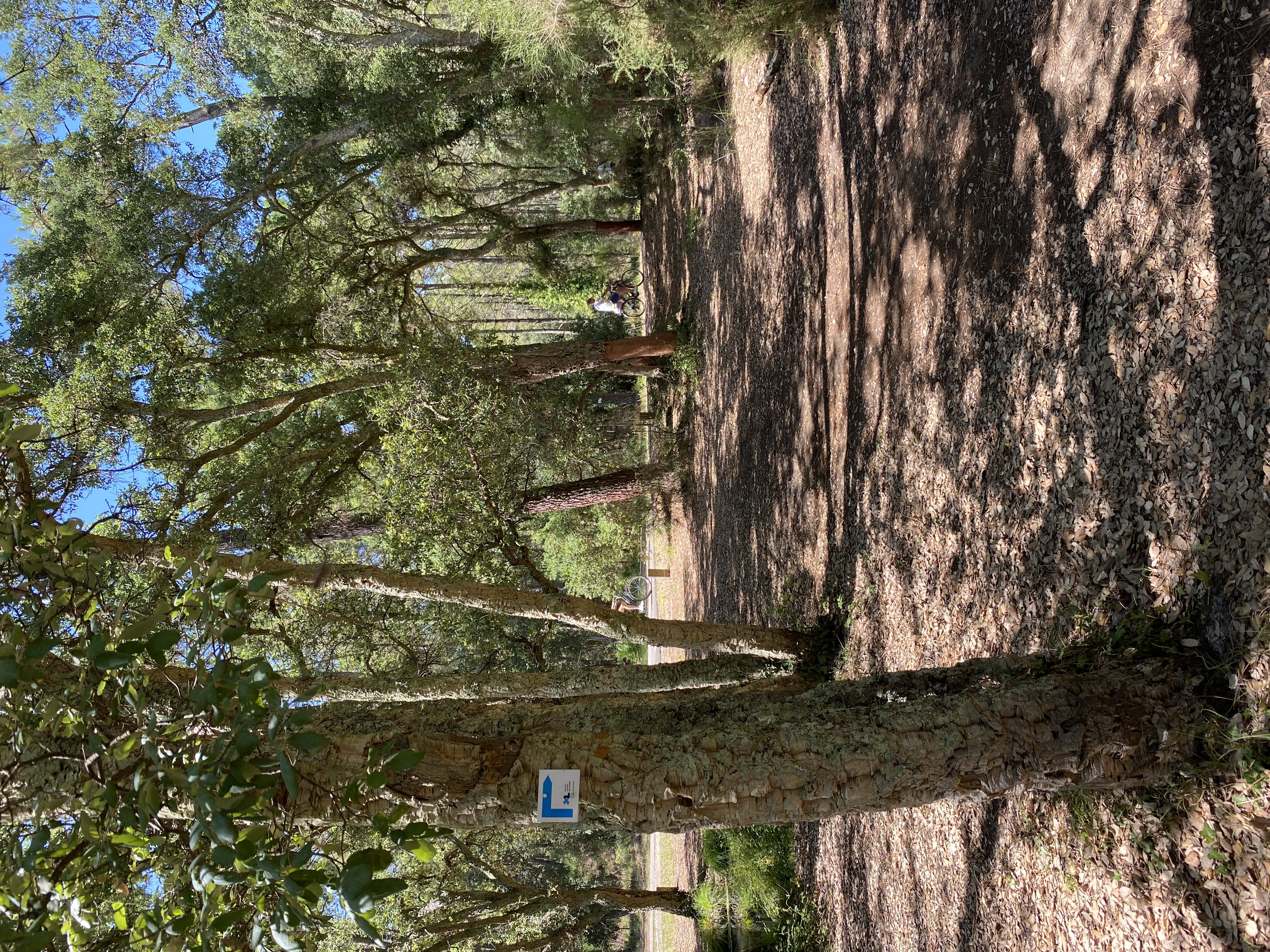 A Lit et Mixe, circuit du Cap de l'Homy, Lit-et-Mixe - photo 3