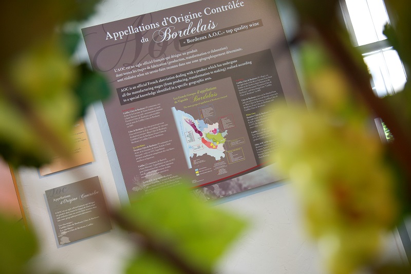 Ecomusée de la vigne et du vin, Cadillac-sur-Garonne - photo 2