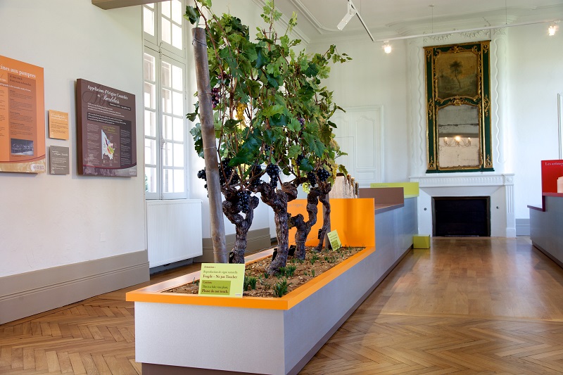 Ecomusée de la vigne et du vin, Cadillac-sur-Garonne - photo 5