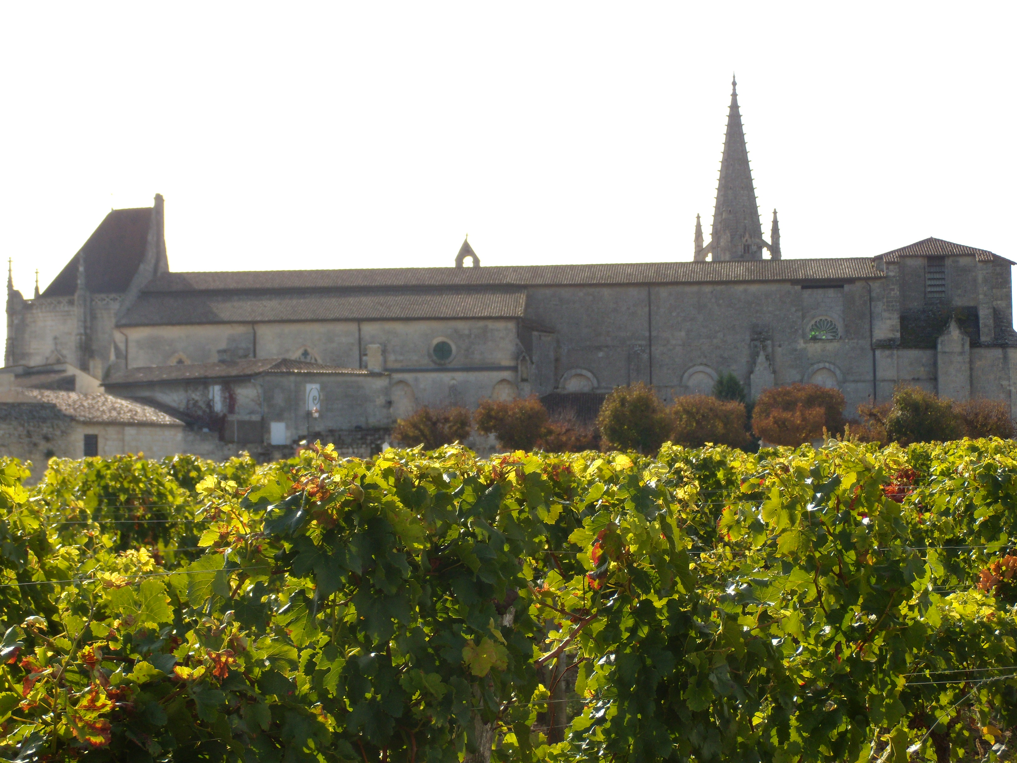 Eglise collégiale de Saint-Emilion, Saint-Émilion - photo 3