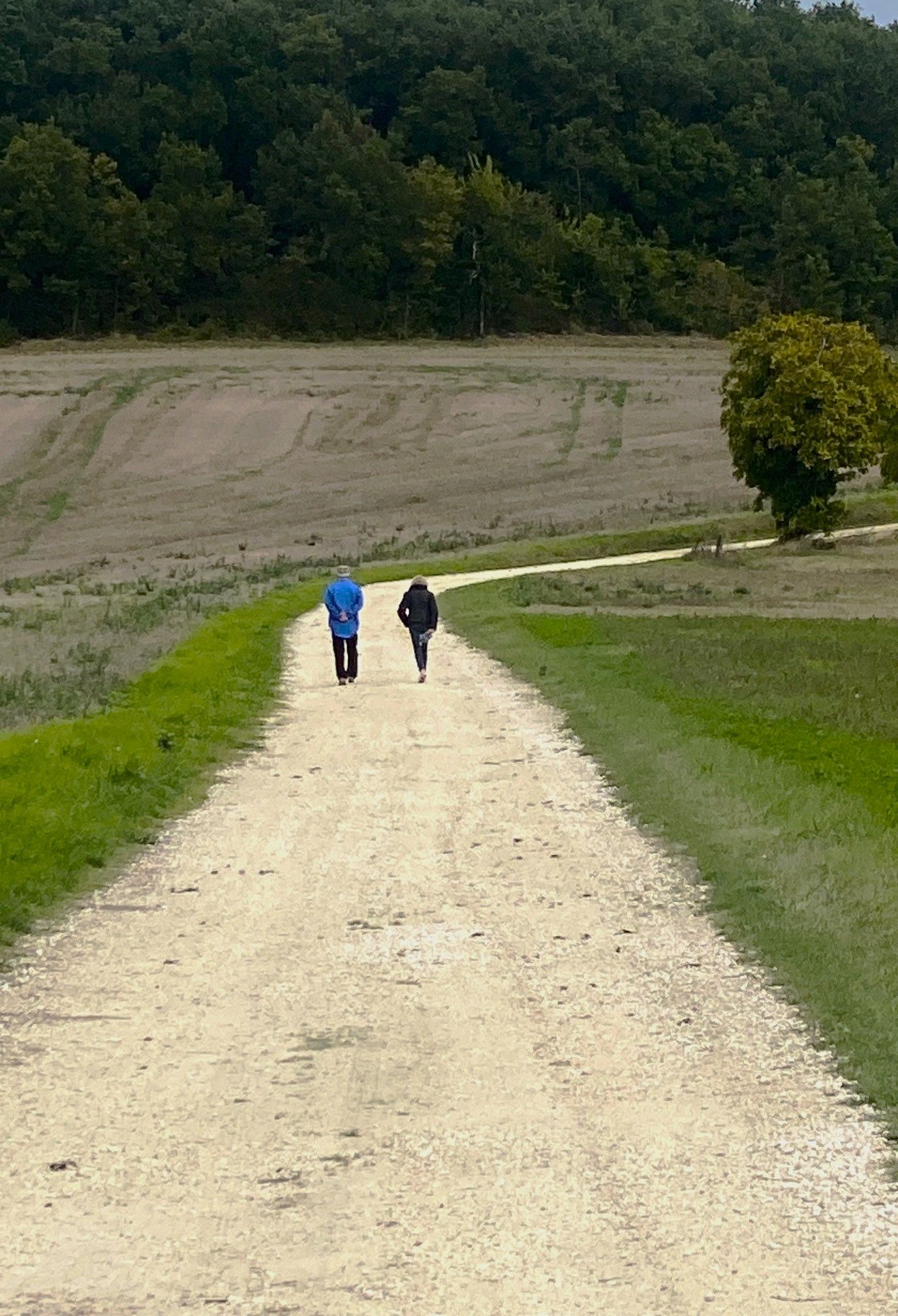 Boucle de Combéranche - photo 4