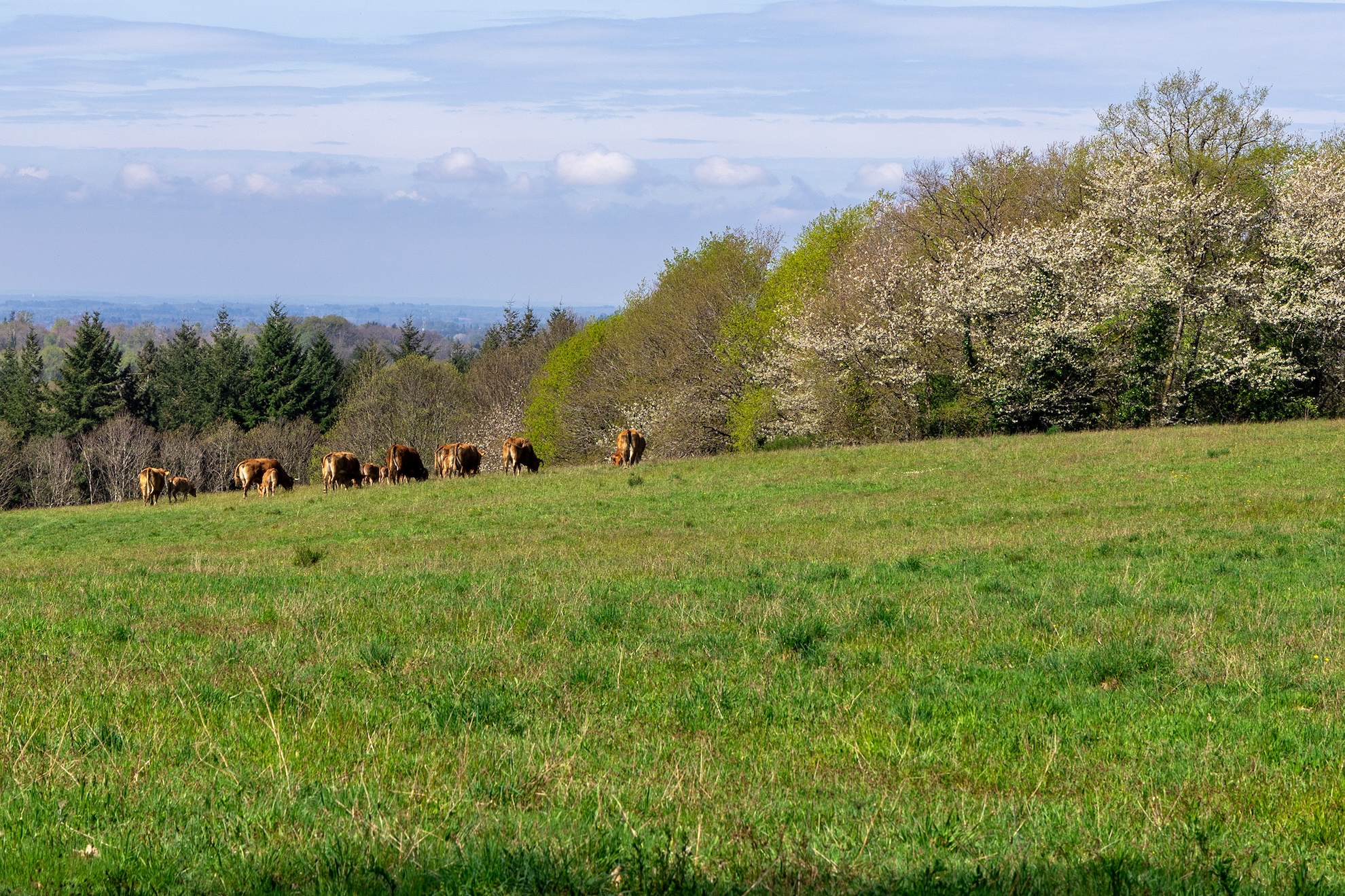Boucle des chemins creux