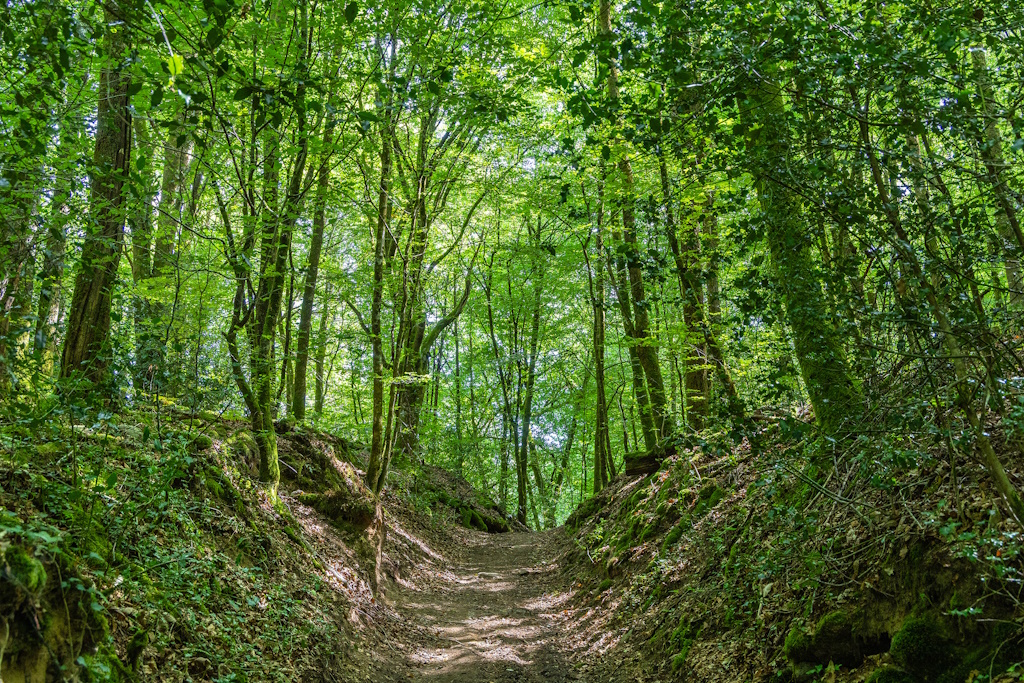 Randonnée guidée - Le sentier des petits ruisseaux — visuel événement