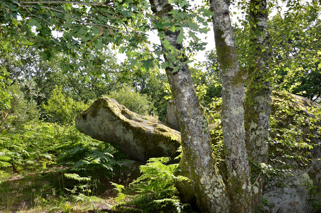 Sentier des pierres à légendes, Compreignac - photo 3