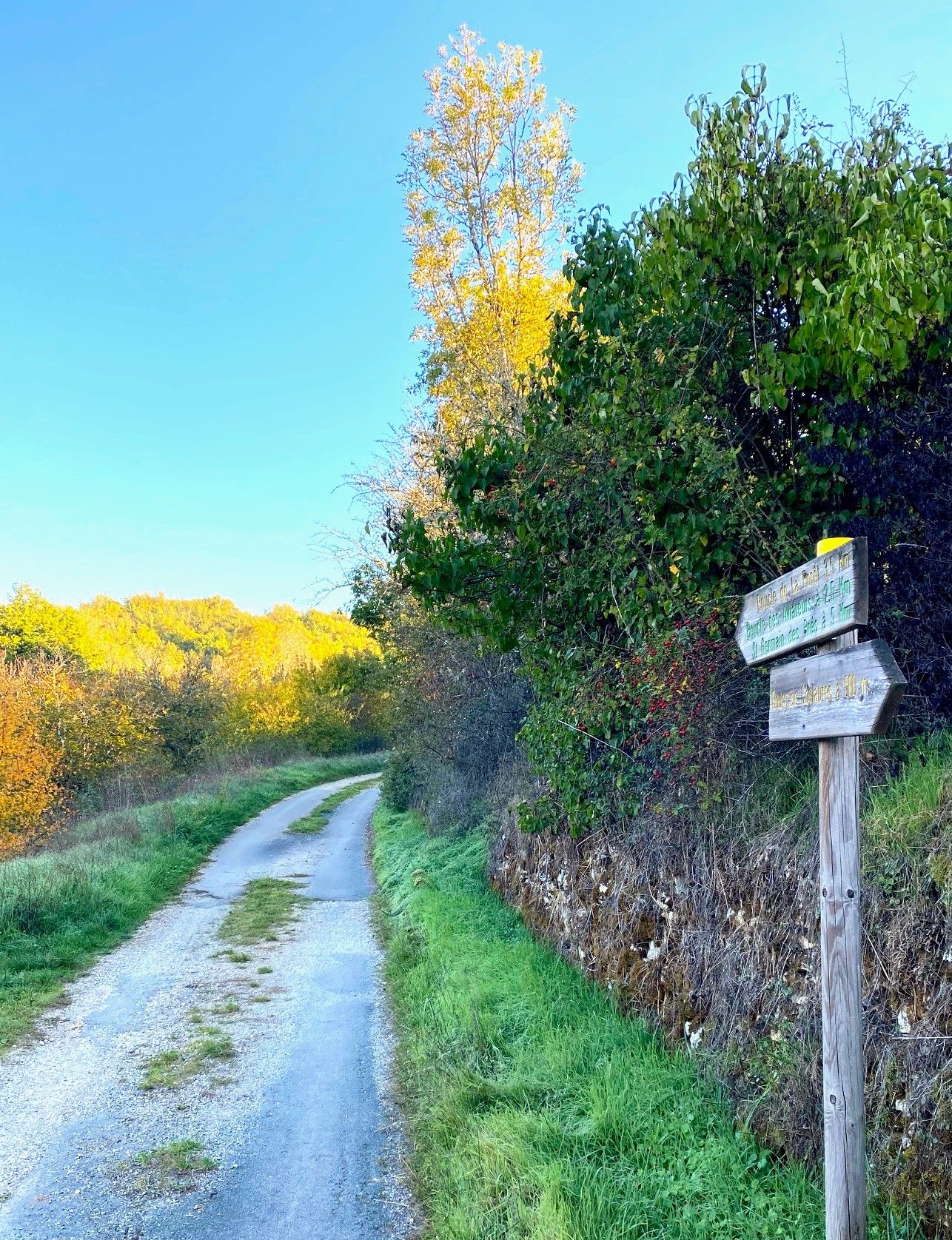 Boucle de la forêt, Coulaures - photo 7
