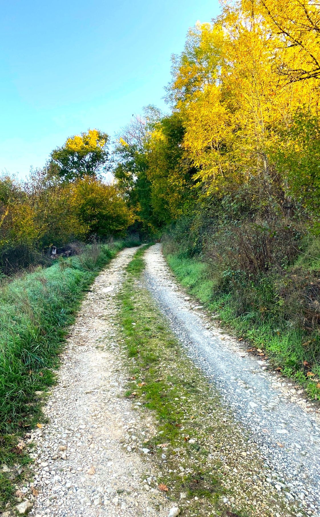 Boucle de la forêt, Coulaures - photo 3