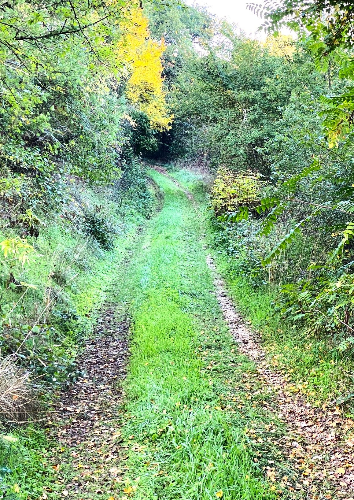 Boucle des causses truffiers, Coulaures - photo 4