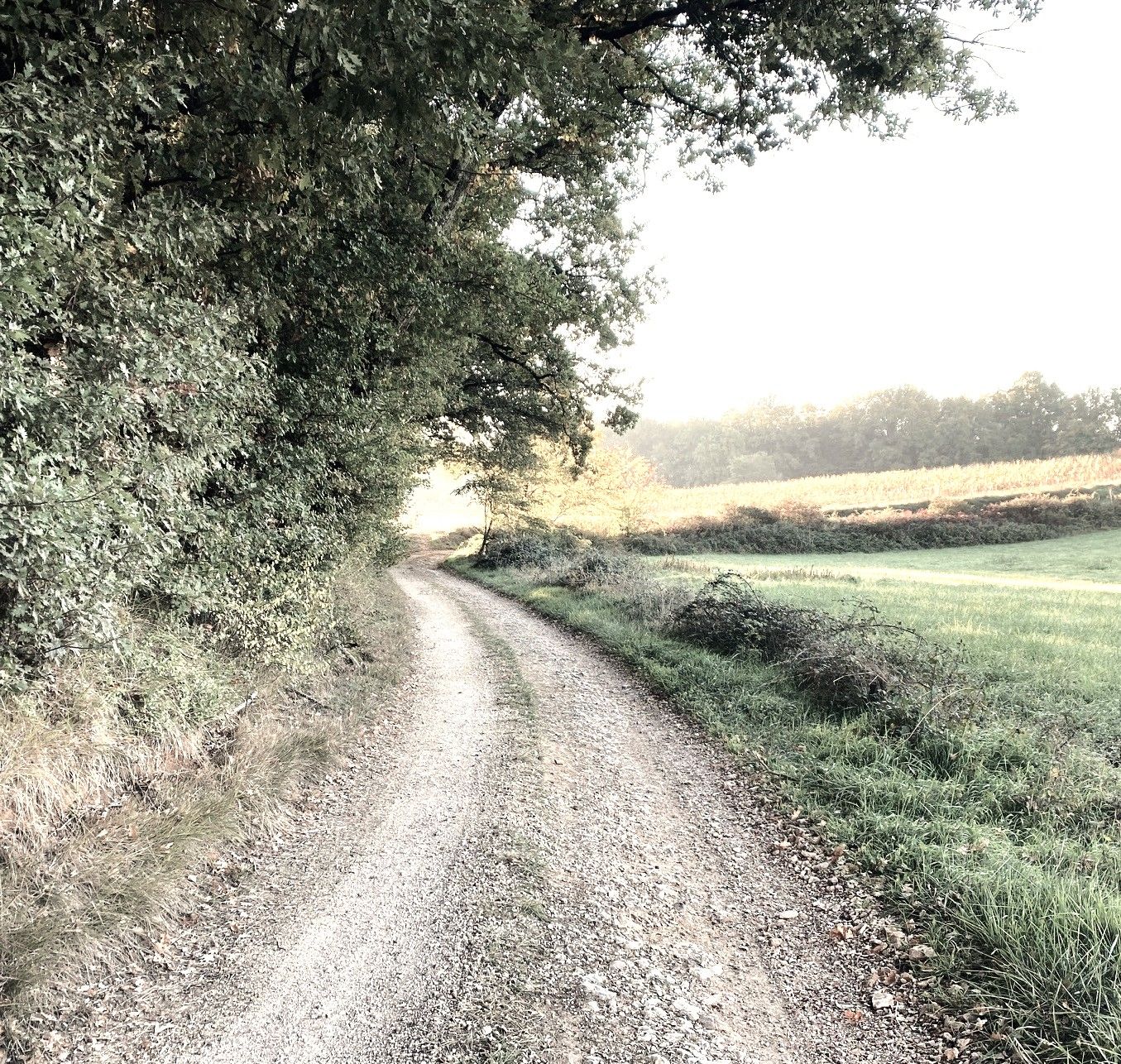 Boucle des châteaux, Coulaures - photo 6