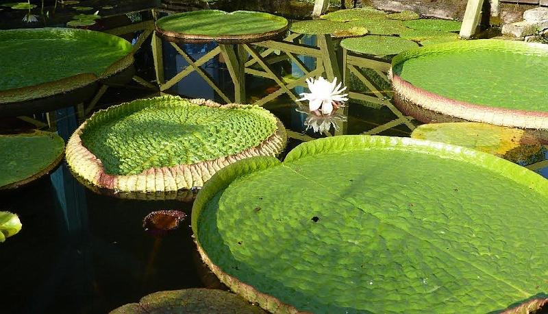 Les Jardins d'Eau, Carsac-Aillac - photo 7