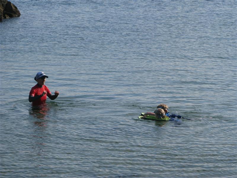 Cours de natation