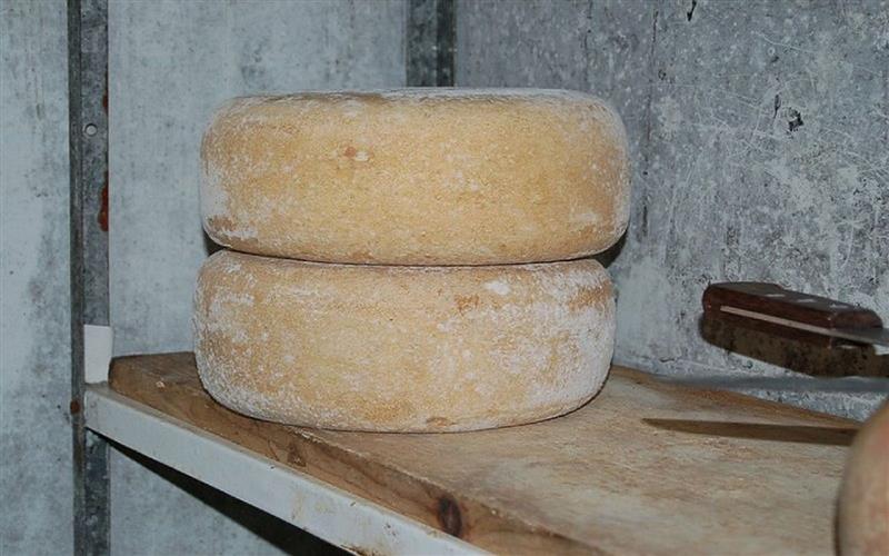 GAEC LORRY Courtié Stéphane - Berger 