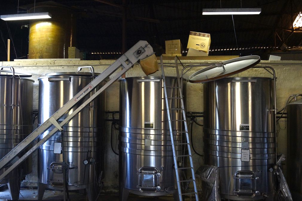 Domaine de Coutancie - photo 5