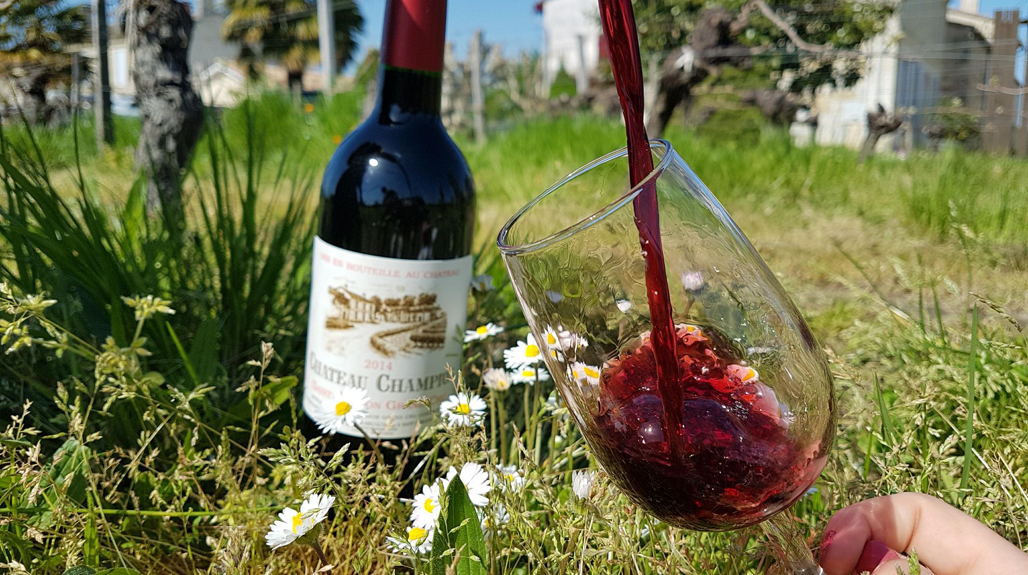 Château Champion - photo 5