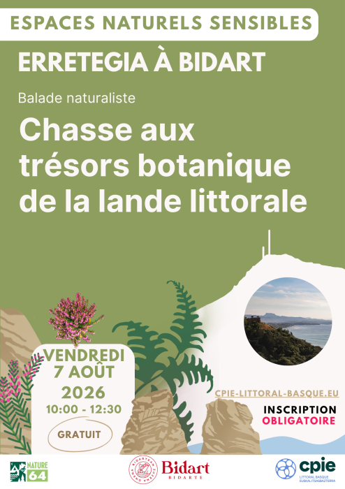 Chasse aux trésors botaniques de la lande littorale à Erretegia - CPIE Littoral basque